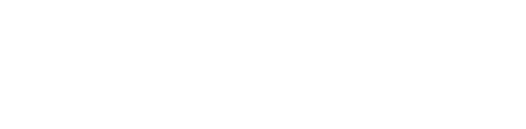 digitset white logo